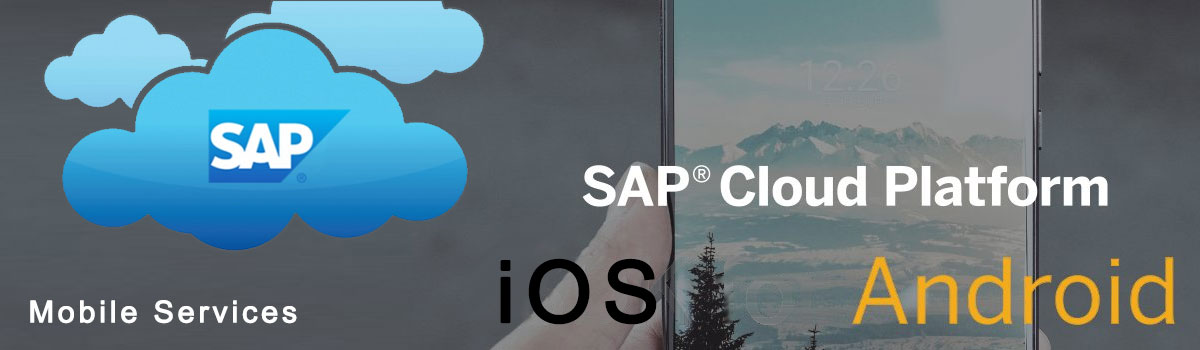 SAP Cloud Platform, Android, IOS, SAP Hana, Mobile Services, SAP, UI5, HTML5, JS, CSS, Hybrid
